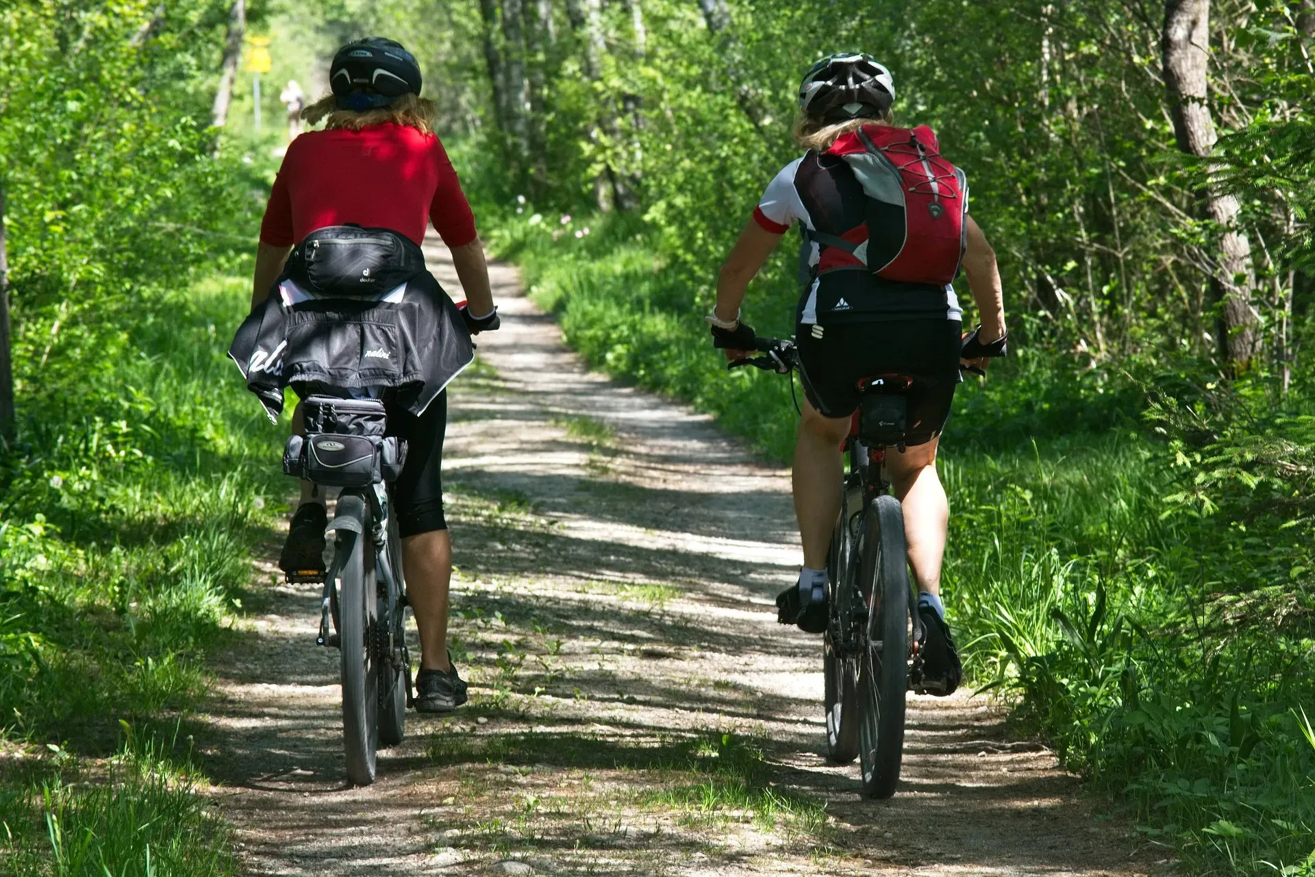 Discover the many mountain bike routes