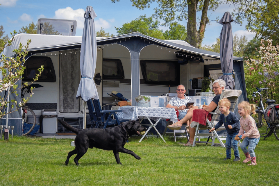 Emplacement de camping tout confort de dernière minute
