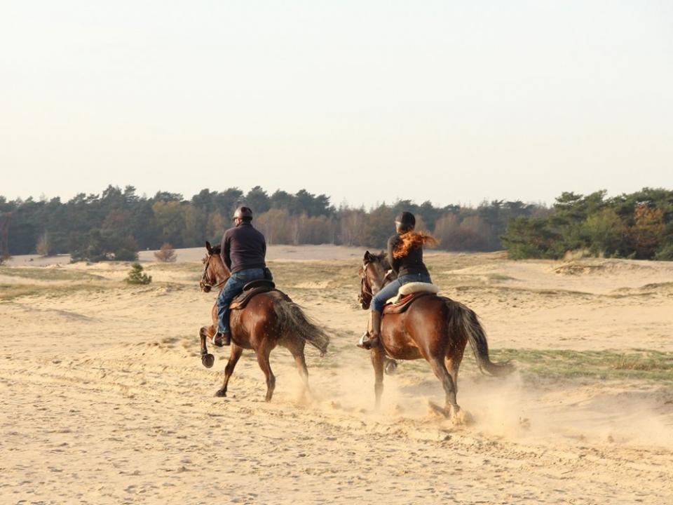 Paardrijden in Twente